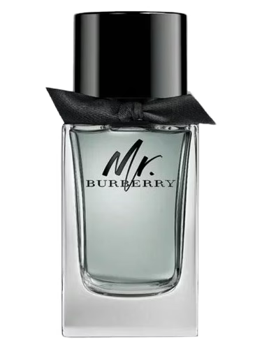 BURBERRY MR BURBERRY EDT 100ML
