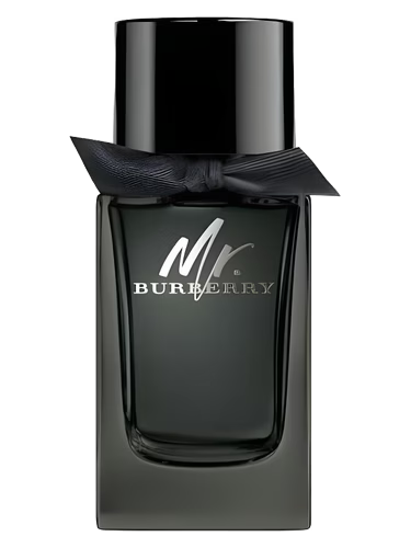 BURBERRY MR BURBERRY EDP 100ML