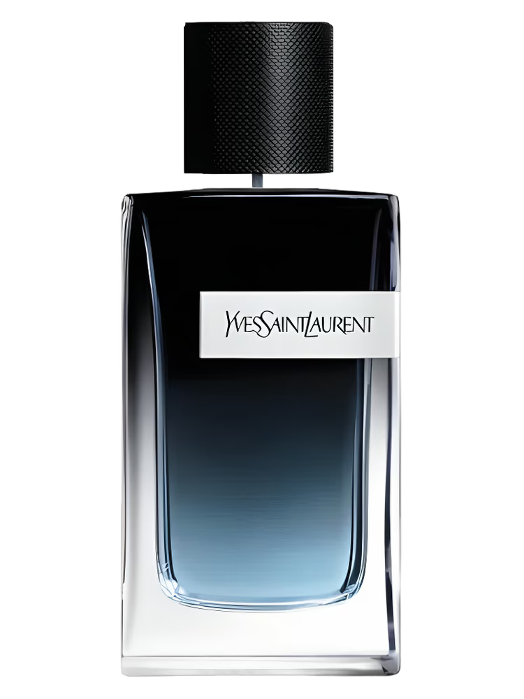 YVES SAINT LAURENT Y EDP 100ML
